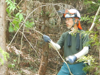 DSCN7746.JPG