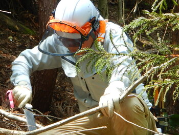 DSCN7751.JPG