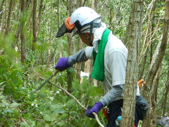 DSCN7768.JPG