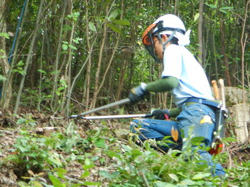DSCN7782.JPG