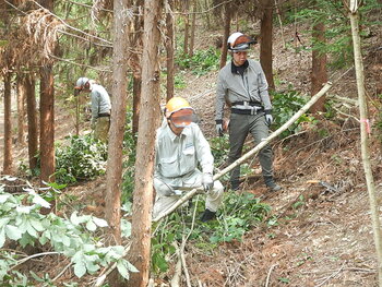 DSCN7790.JPG