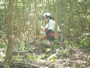 DSCN7832.JPG