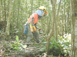 DSCN7835.JPG