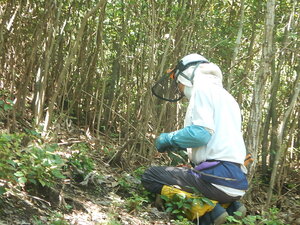 DSCN7838.JPG