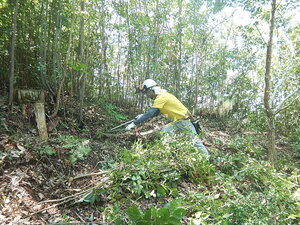 DSCN7856.JPG