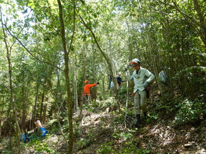 DSCN7861.JPG