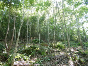 DSCN7907.JPG