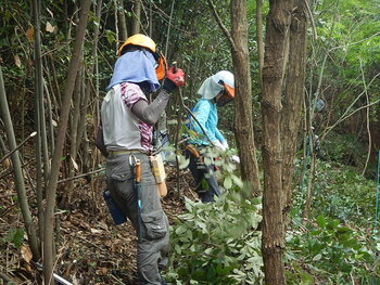 DSCN7936.JPG