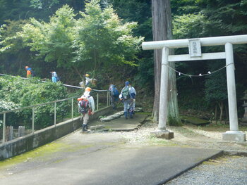 DSCN7946.JPG