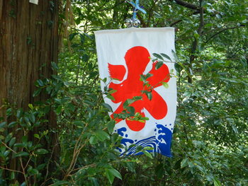 DSCN7949.JPG