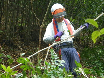 DSCN7955.JPG
