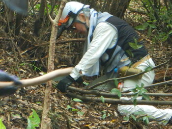 DSCN7971.JPG