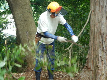 DSCN7978.JPG