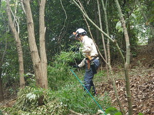 DSCN7994.JPG