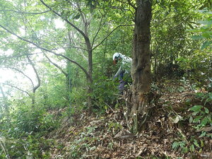 DSCN7998.JPG