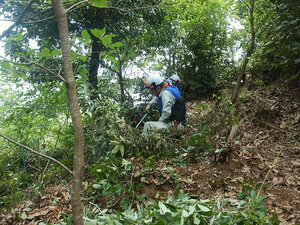 DSCN8001.JPG