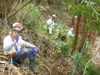 DSCN8028.JPG
