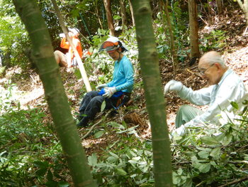 DSCN8029.JPG