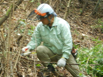 DSCN8035.JPG