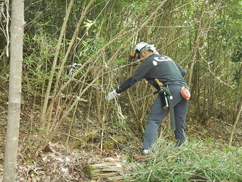 DSCN8046.JPG