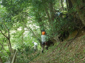 DSCN8067.JPG