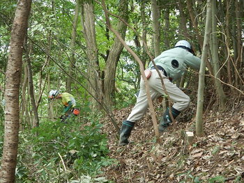 DSCN8073.JPG