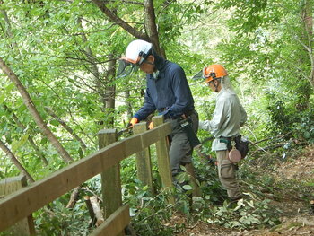 DSCN8076.JPG