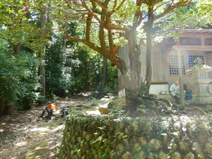 DSCN8122.JPG