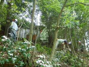 DSCN8128.JPG