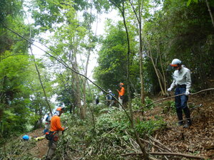 DSCN8139.JPG
