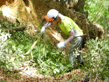 DSCN8173.JPG
