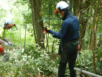 DSCN8175.JPG