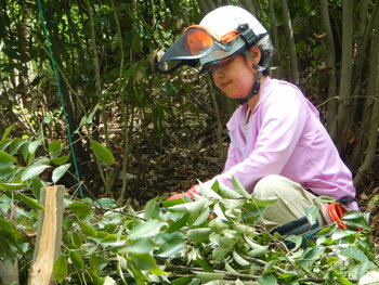 DSCN8180.JPG