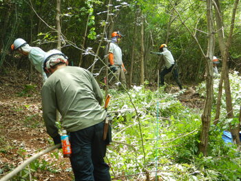 DSCN8208.JPG