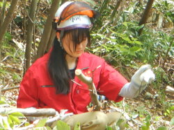DSCN8232.JPG