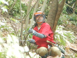 DSCN8236.JPG