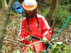 DSCN8240.JPG