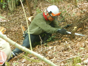 DSCN8250.JPG
