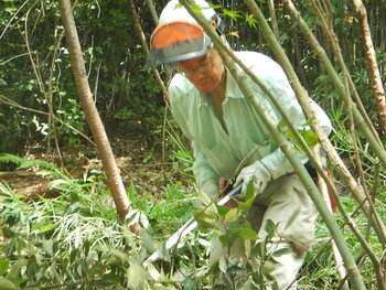 DSCN8257.JPG