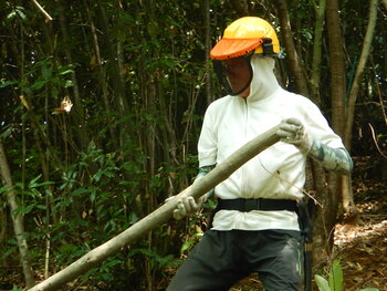 DSCN8259.JPG