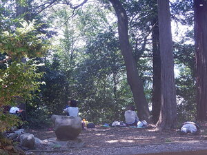 DSCN8338.JPG