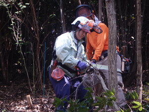 DSCN8415.JPG