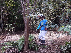DSCN8432.JPG