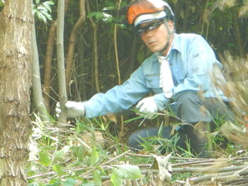 DSCN8435.JPG