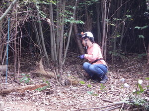 DSCN8436.JPG
