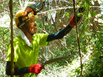 DSCN8455.JPG