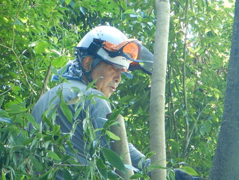 DSCN8489.JPG