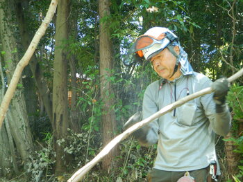 DSCN8497.JPG