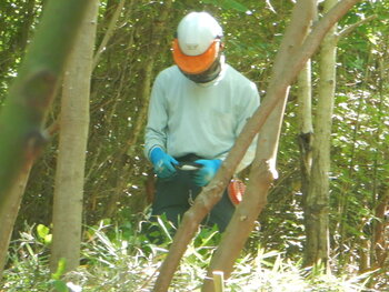 DSCN8514.JPG