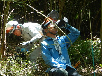 DSCN8523.JPG